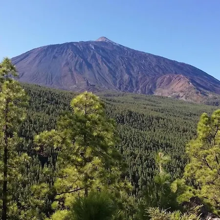 La Casita De La Pared Apartment *