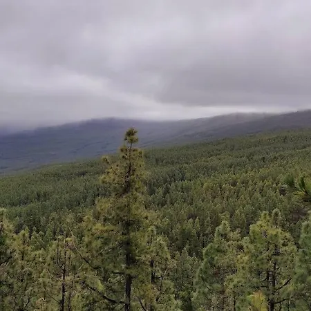 Apartment La Casita De La Pared Santa Cruz de Tenerife